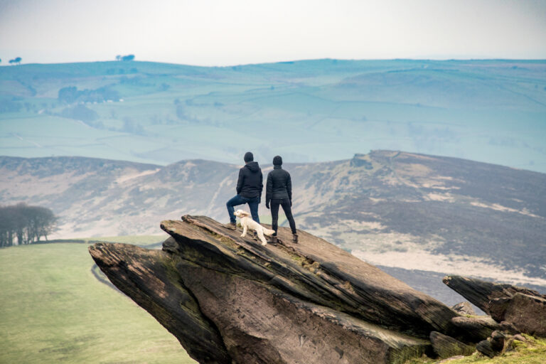 RS2545 The Roaches