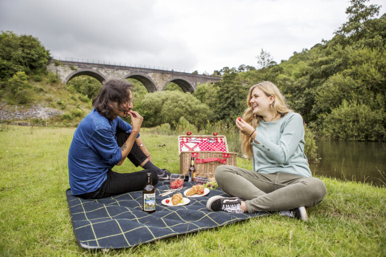 picnic